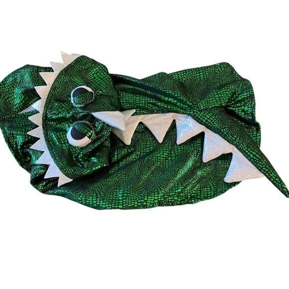 Dinosaur Green Halloween Dog MICHAELS Pet Costume LG - Picture 1 of 8